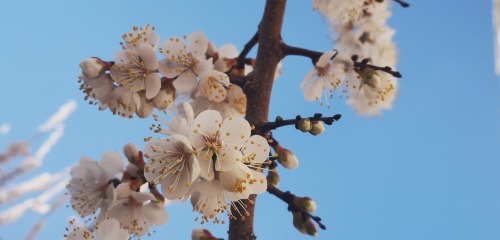 IMG_20230328_124729.jpg