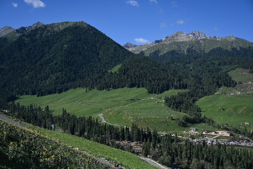 mmexport1691724451308.jpg
