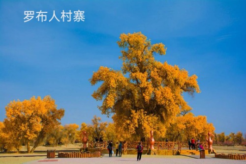 【山青水秀】户外23年10月中旬南疆胡杨叶子黄了走起