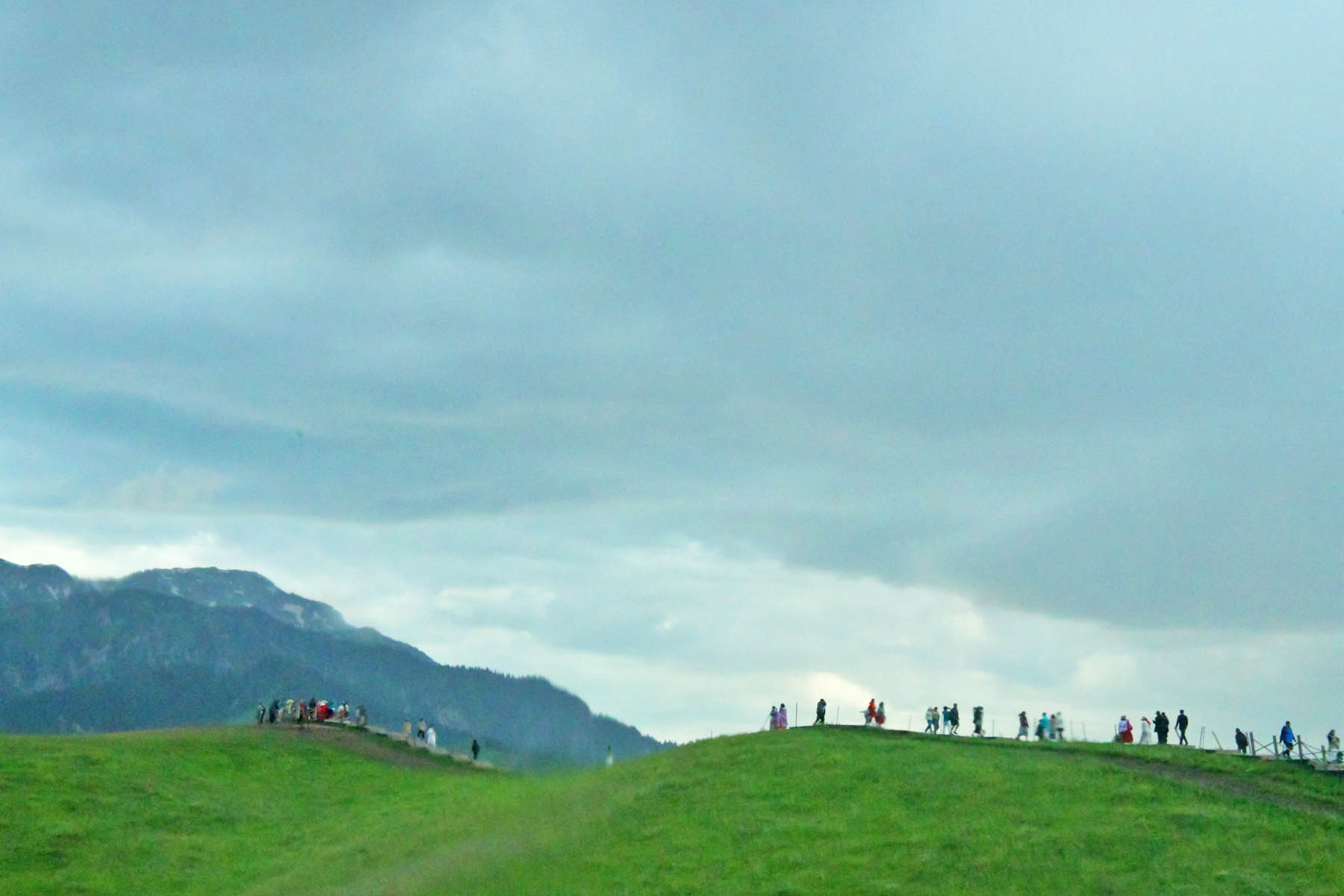 AAA_0314.jpg