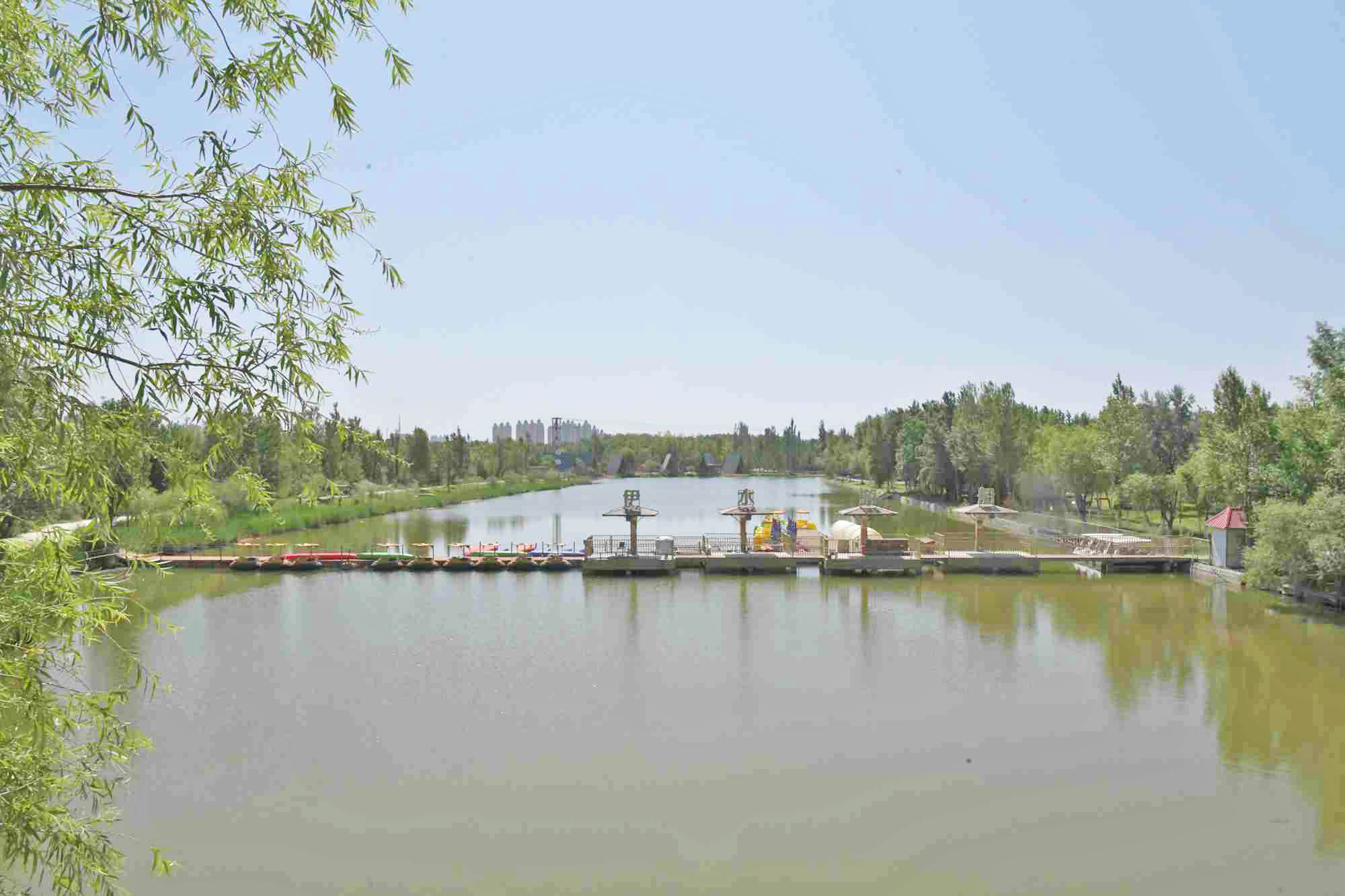 AAA_4586.JPG
